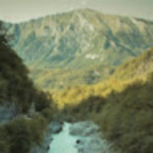 Meet your Posher, Ashlee